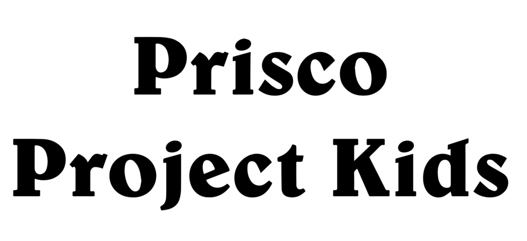 Logo der Marke Prisco Kids Project