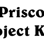 Logo der Marke Prisco Kids Project